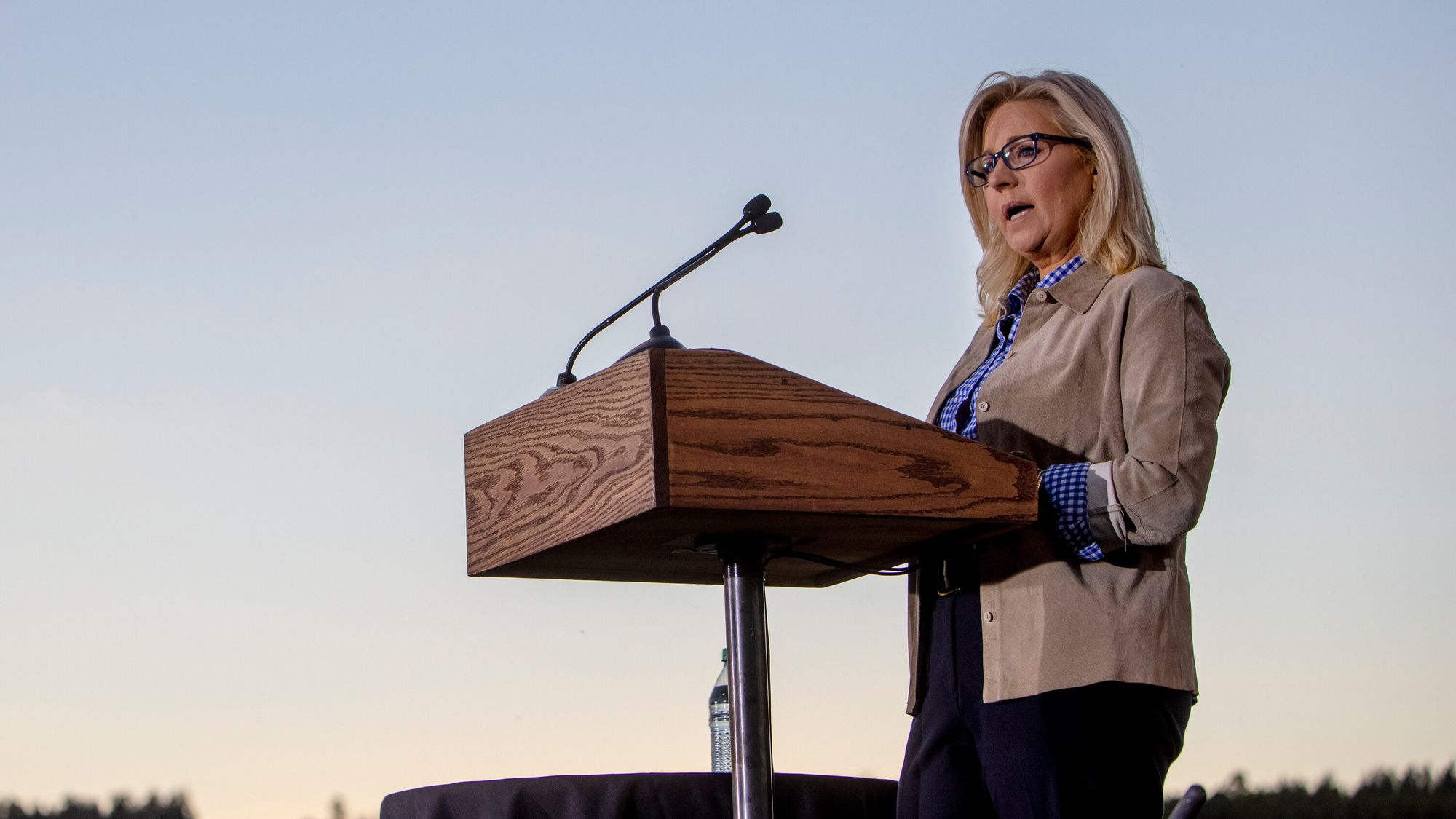 Rep. Liz Cheney Loses GOP Primary for House Seat