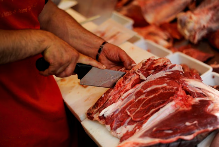 Italy: Meloni Government Introduces Bill to Ban Lab-Grown Meat