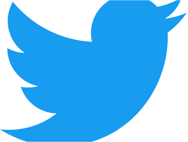 Head of Twitter Safety Resigns