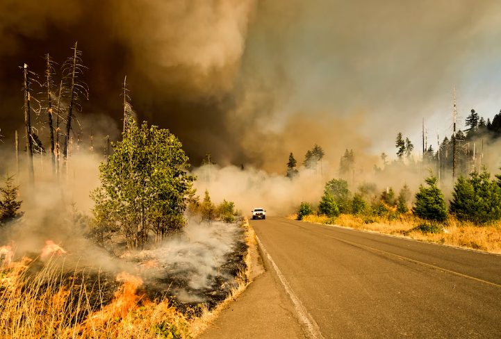 Mediterranean Wildfires Kill Dozens