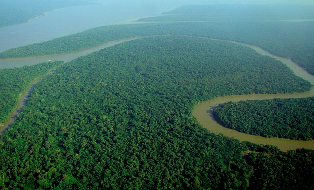 Deforestation in Brazil's Amazon Falls 66% in July