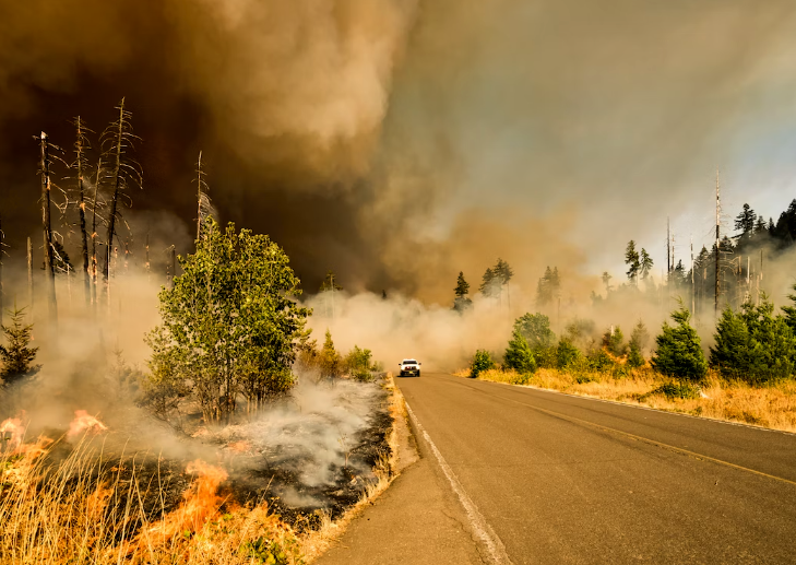 Hawaii Wildfires Kill At Least 36, Force Thousands to Evacuate