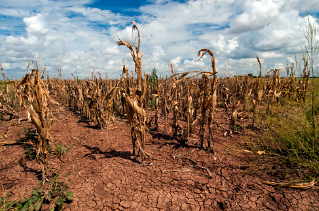 Report: 25% of Global Population Faces Water Crisis