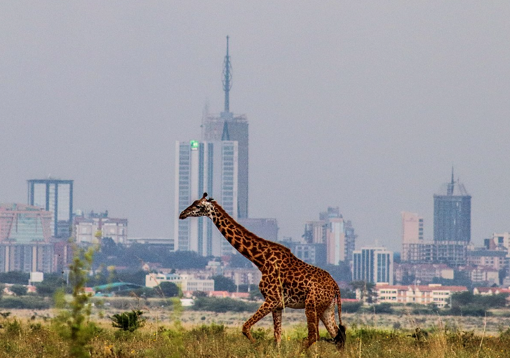 Nairobi: First African Climate Summit Underway