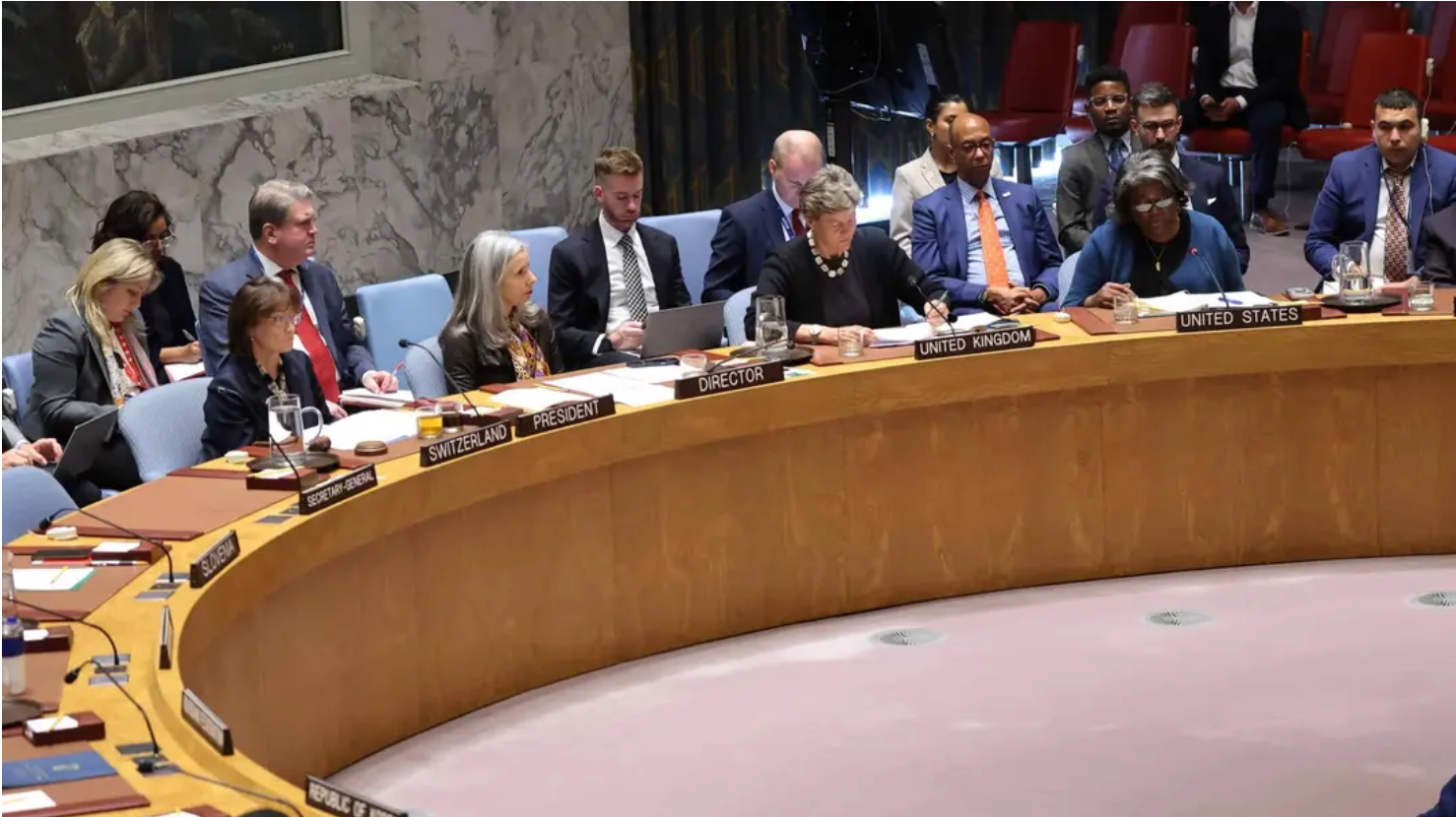 UNSC Draft Resolution Calls for 'Immediate' Gaza Cease-fire, Release of Hostages