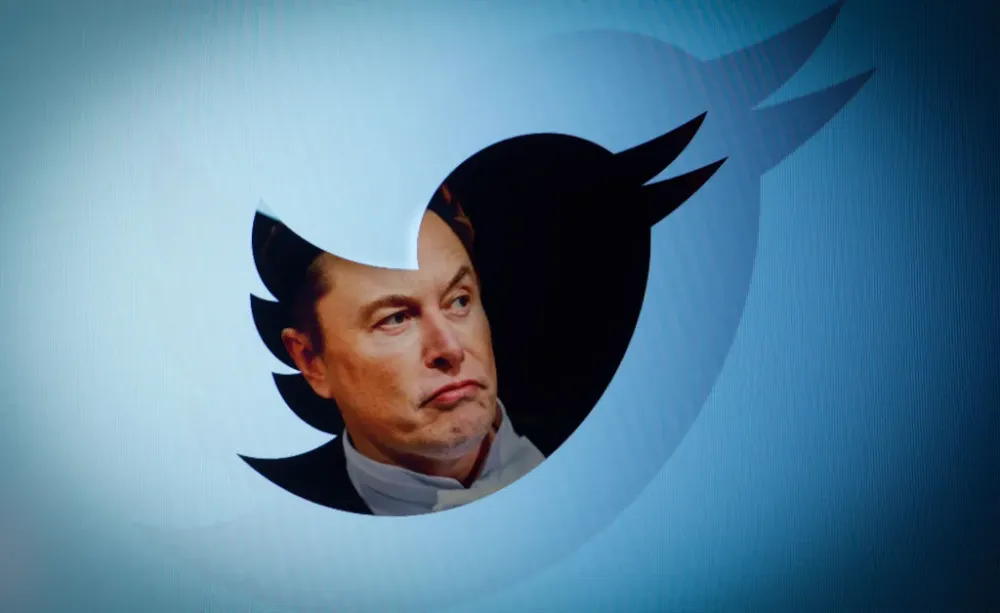 Musk To Reinstate Suspended Twitter Accounts post image