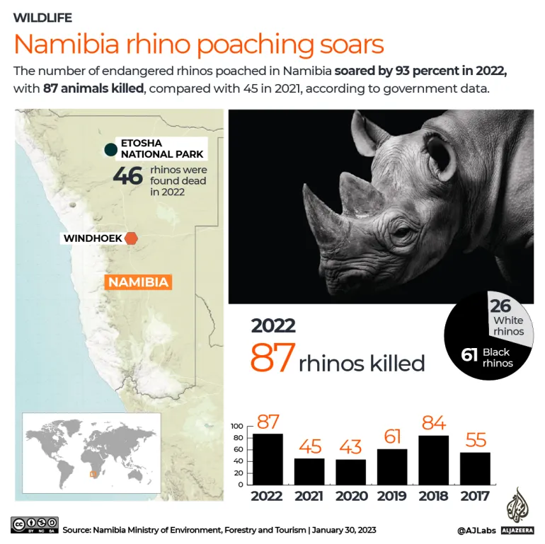 Rhino Poaching Surges in Namibia post image