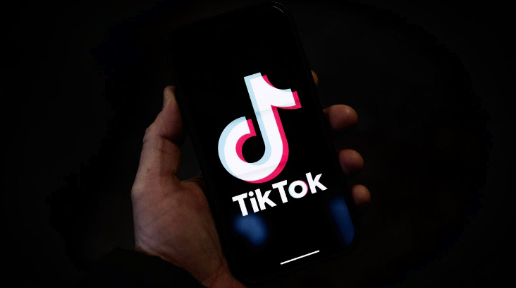 France Bans TikTok From Government Devices post image