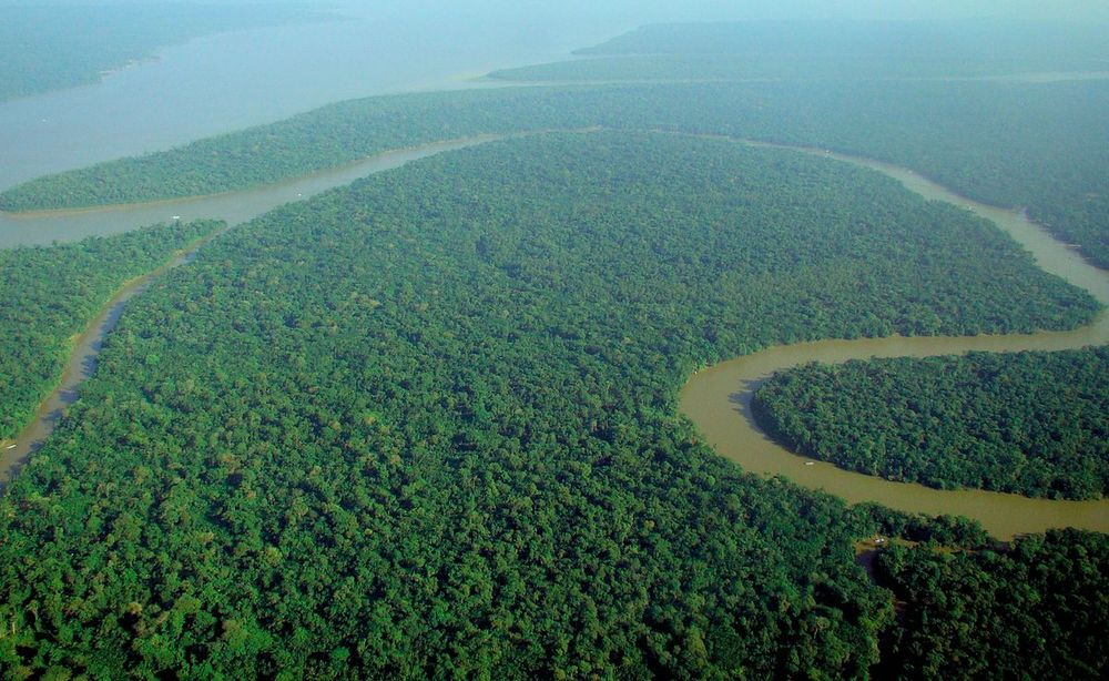 Brazil Hosts Amazon Rainforest Summit post image