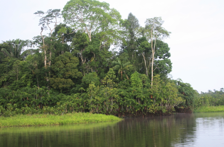 Ecuador Votes to End Drilling in Amazon Bioreserve post image